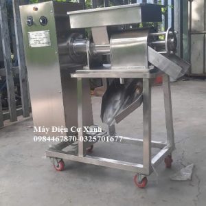 Máy vắt nước cốt cà rốt