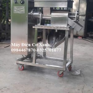 Máy vắt nước cốt cây lá đu đủ