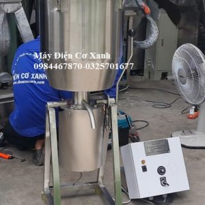 Máy xay nhuyễn củ gừng