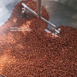 Máy tẩm gia vị cho hạt đậu phộng