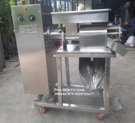 Máy ép trục vít vắt nước cốt nghệ, nước cốt tỏi, nước cốt gừng tỏi