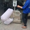 Máy nghiền thực phẩm, máy nghiền bột khô, máy nghiền dược liệu, máy nghiền trà túi lọc - ĐIỆN CƠ XANH