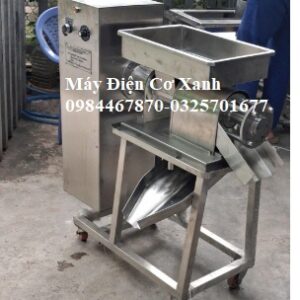 Máy ép nước cốt củ nghệ tươi làm tinh bột nghệ - ĐIỆN CƠ XANH
