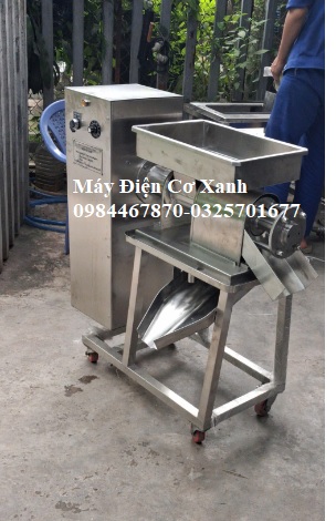 Máy ép nước cốt củ nghệ tươi làm tinh bột nghệ - ĐIỆN CƠ XANH
